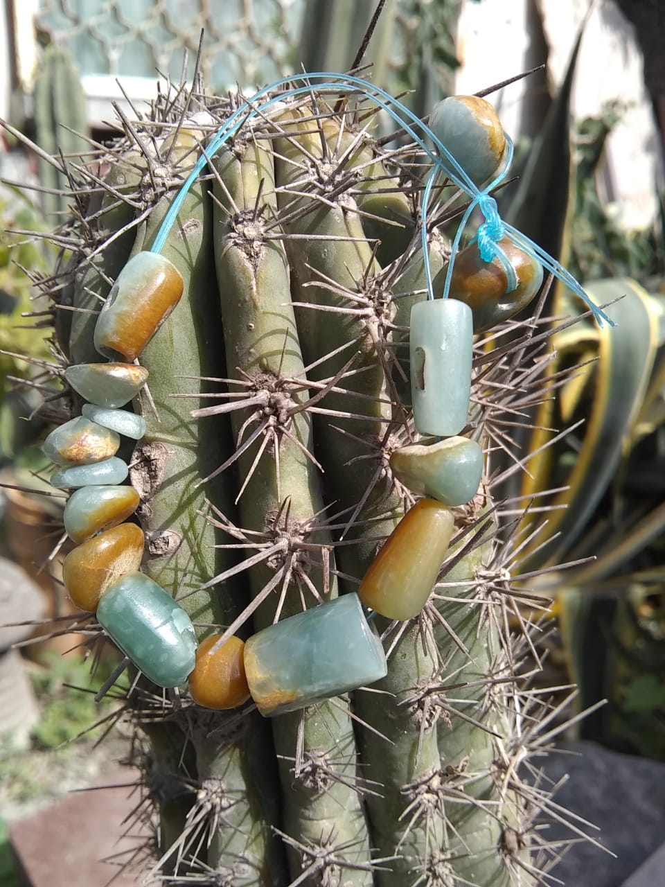 Pulsera de jade azul princesa