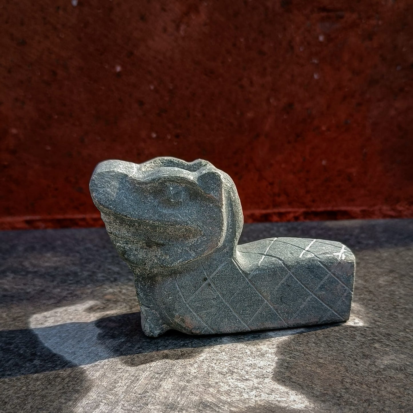 Pipa coatl