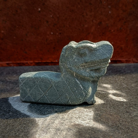 Pipa coatl