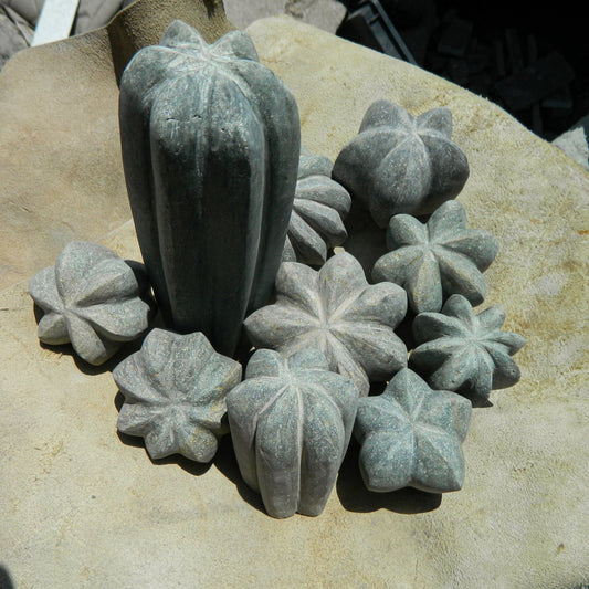 Set de 10 Cactus decorativos.
